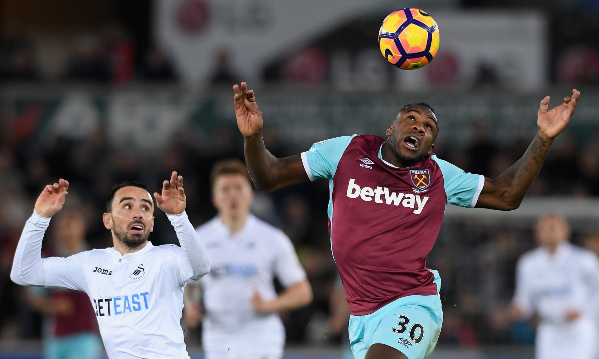 在图多尔的 在图多尔的